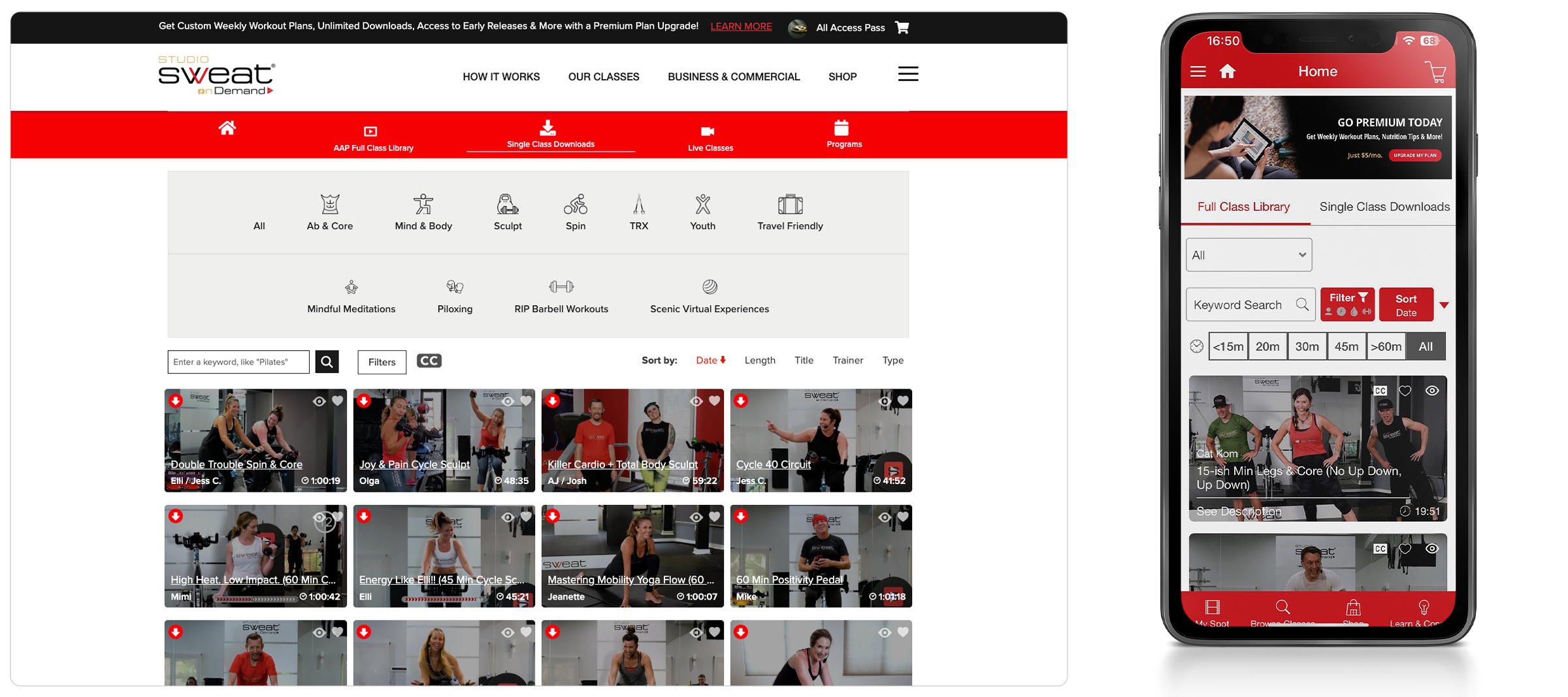 web-gfx-portfolio-2400x-SSOD-01 svg+xml;charset=utf