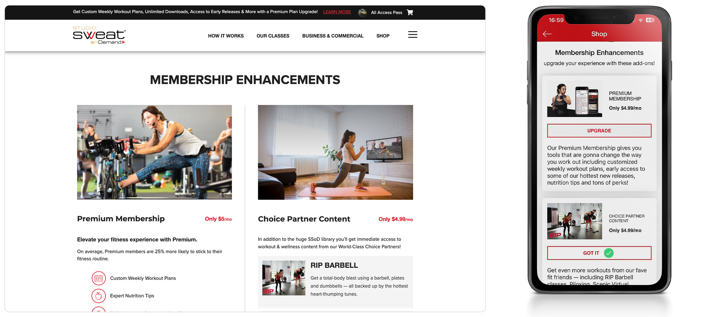 web-gfx-portfolio-2400x-SSOD-03 svg+xml;charset=utf