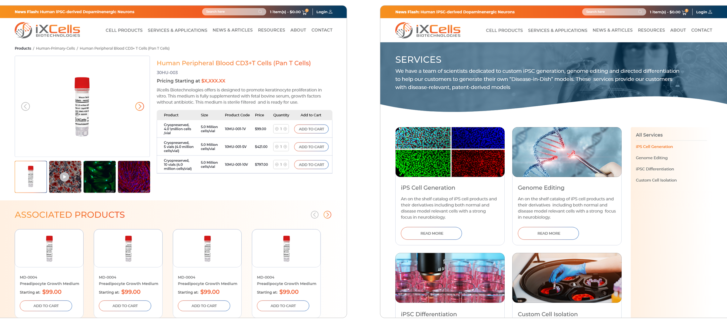 web-gfx-portfolio-2400x-iXCell-04 web gfx portfolio 2400x iXCell 04