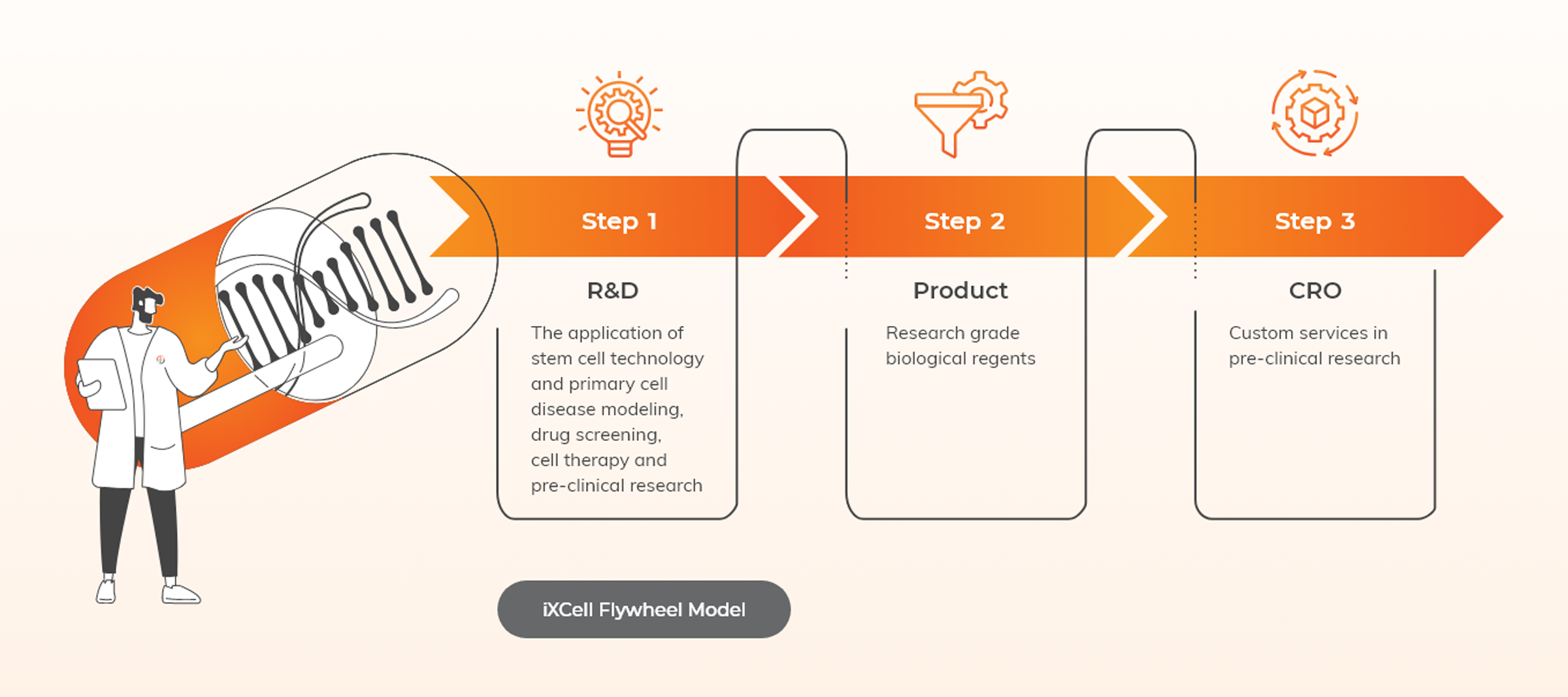web-gfx-portfolio-2400x-iXCell-05 web gfx portfolio 2400x iXCell 05