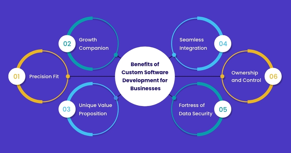 custom software benefits
