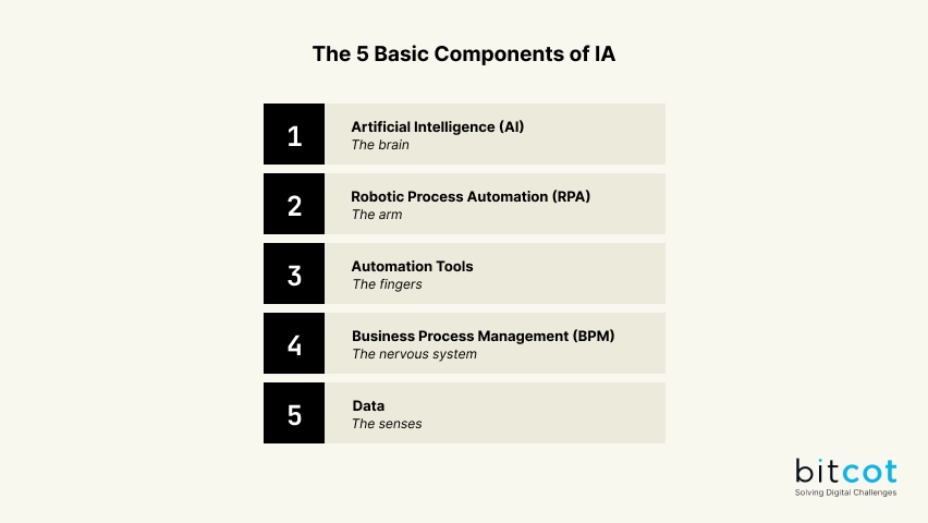 An infographic displaying numbered panels outlining the 5 components of IA.