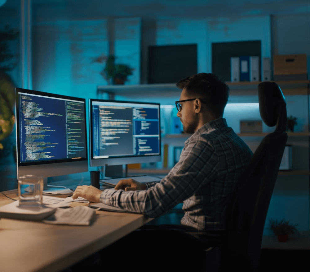 Hire Business Software Developers