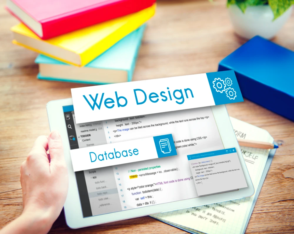 Professional Website Design in San Diego for Modern Businesses